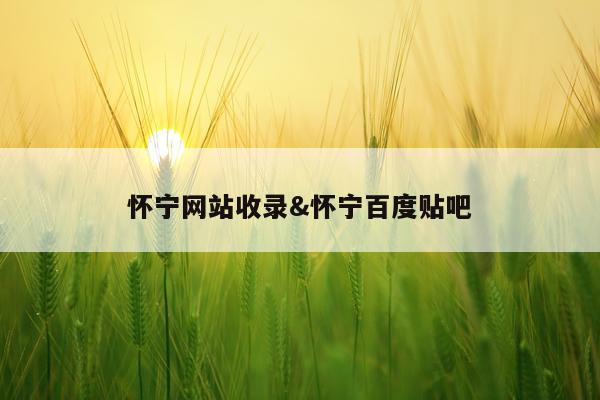 怀宁网站收录&怀宁百度贴吧