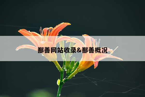 鄯善网站收录&鄯善概况
