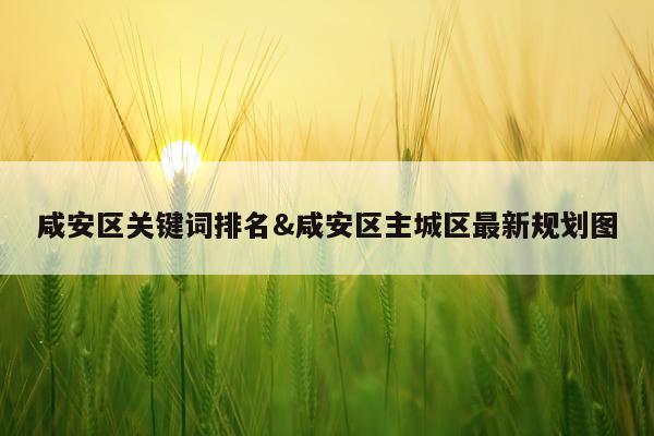咸安区关键词排名&咸安区主城区最新规划图