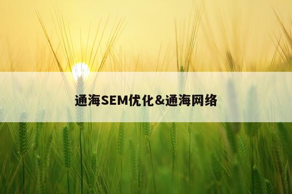 通海SEM优化&通海网络