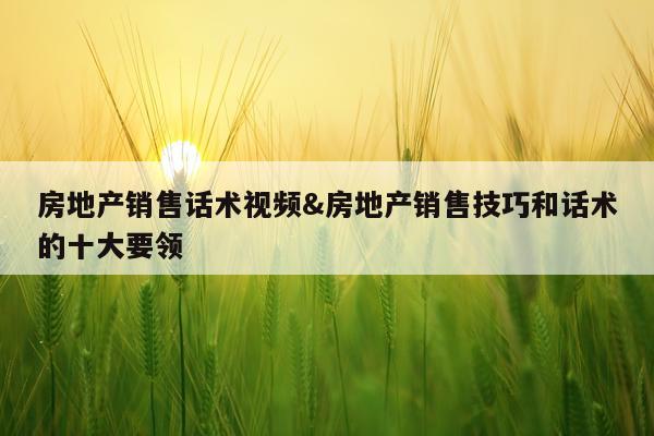 房地产销售话术视频&房地产销售技巧和话术的十大要领