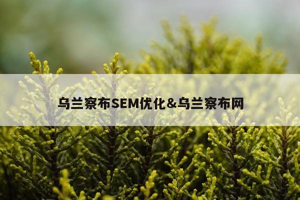 乌兰察布SEM优化&乌兰察布网