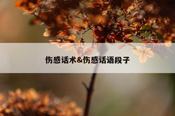 伤感话术&伤感话语段子