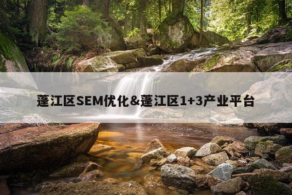 蓬江区SEM优化&蓬江区1+3产业平台