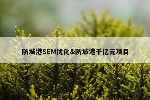 防城港SEM优化&防城港千亿元项目