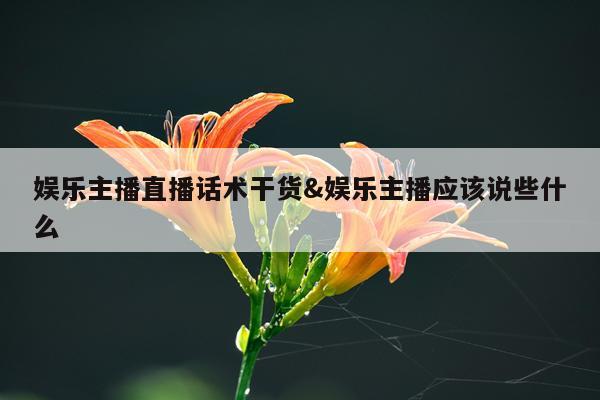 娱乐主播直播话术干货&娱乐主播应该说些什么