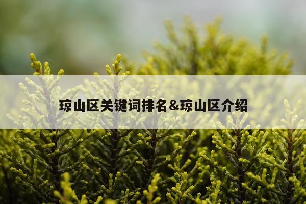 琼山区关键词排名&琼山区介绍
