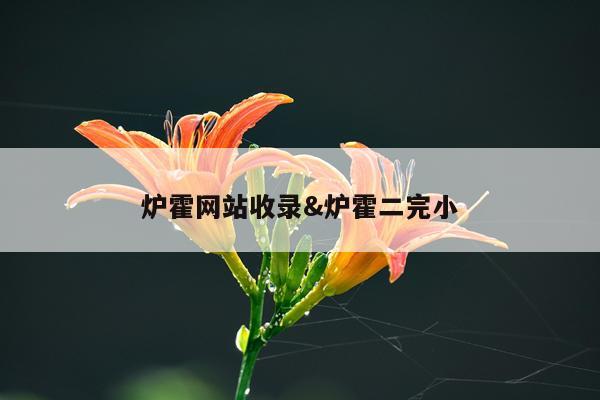 炉霍网站收录&炉霍二完小