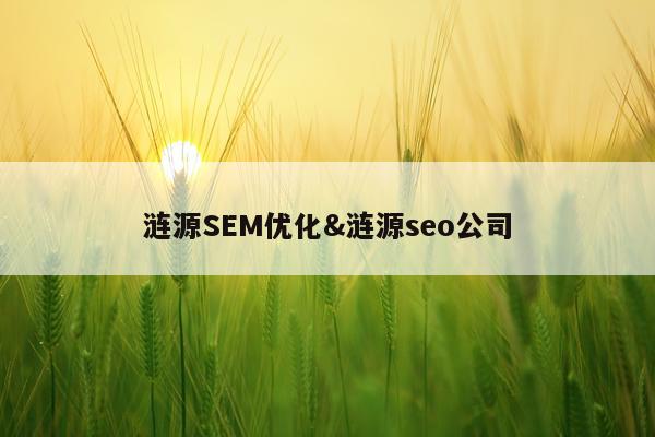 涟源SEM优化&涟源seo公司