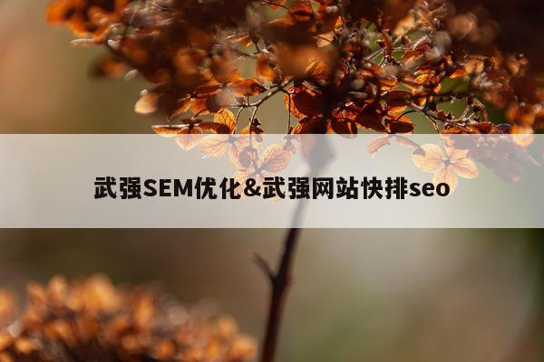 武强SEM优化&武强网站快排seo