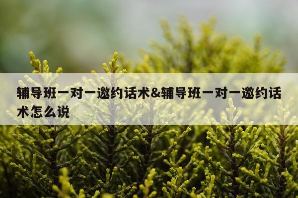 辅导班一对一邀约话术&辅导班一对一邀约话术怎么说