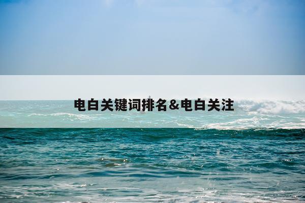 电白关键词排名&电白关注