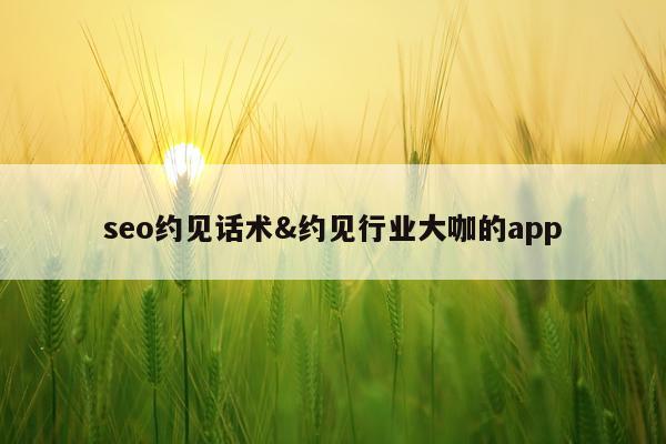 seo约见话术&约见行业大咖的app