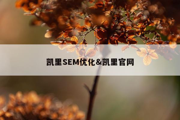 凯里SEM优化&凯里官网