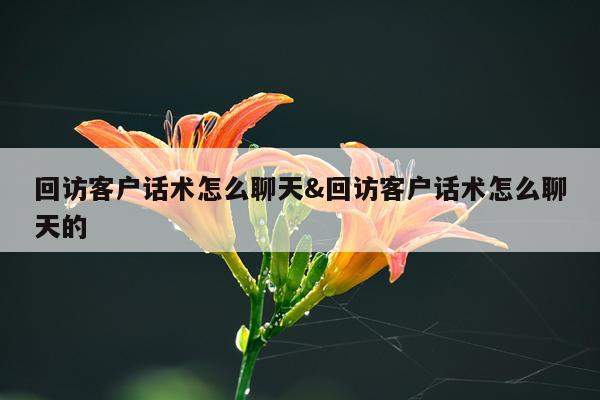回访客户话术怎么聊天&回访客户话术怎么聊天的