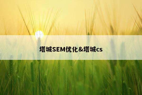 塔城SEM优化&塔城cs