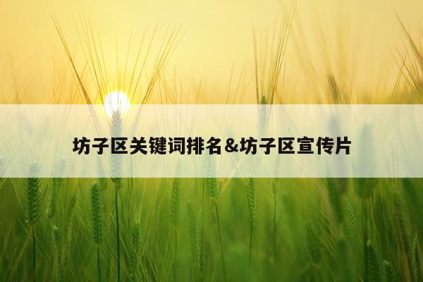 坊子区关键词排名&坊子区宣传片