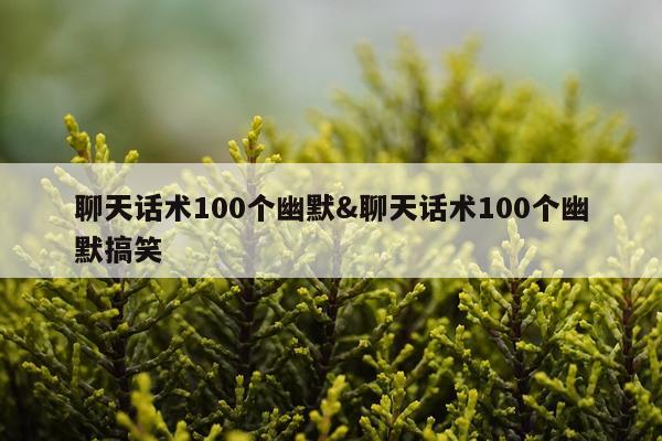 聊天话术100个幽默&聊天话术100个幽默搞笑