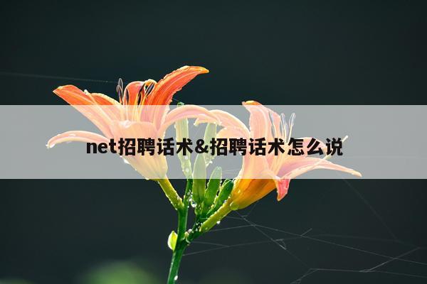 net招聘话术&招聘话术怎么说