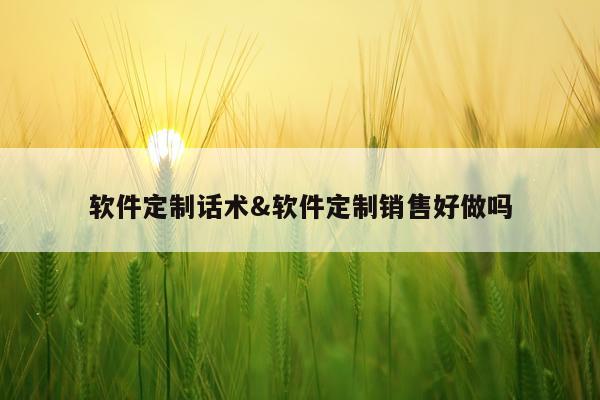 软件定制话术&软件定制销售好做吗
