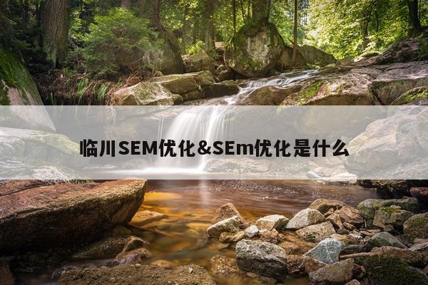 临川SEM优化&SEm优化是什么