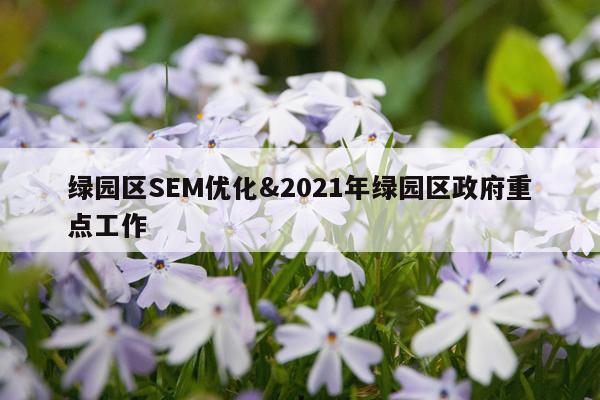 绿园区SEM优化&2021年绿园区政府重点工作