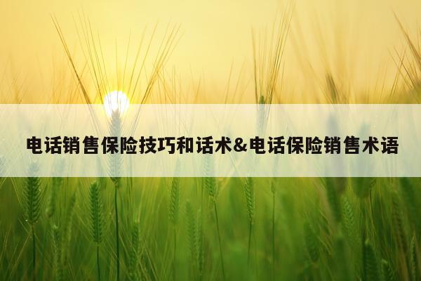 电话销售保险技巧和话术&电话保险销售术语