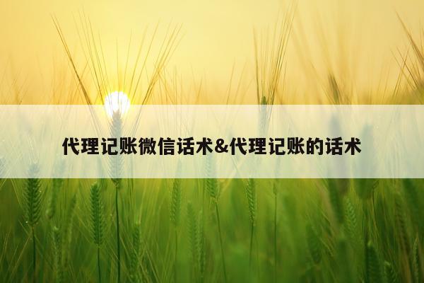 代理记账微信话术&代理记账的话术