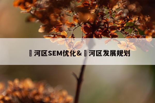 浉河区SEM优化&瀍河区发展规划