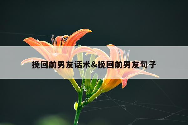 挽回前男友话术&挽回前男友句子