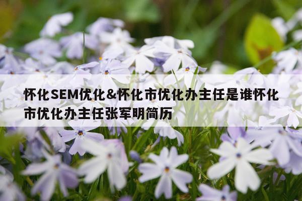 怀化SEM优化&怀化市优化办主任是谁怀化市优化办主任张军明简历