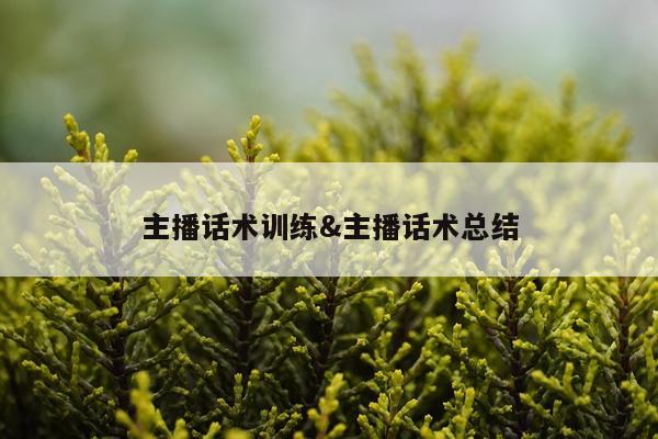 主播话术训练&主播话术总结