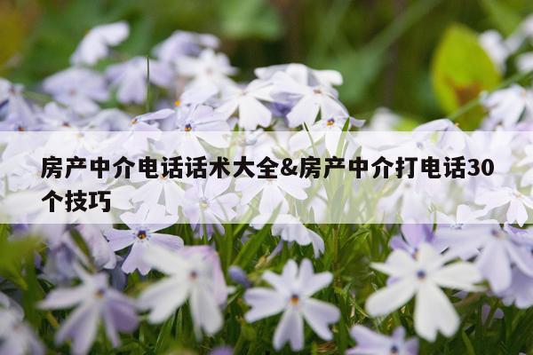 房产中介电话话术大全&房产中介打电话30个技巧