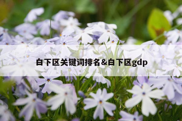 白下区关键词排名&白下区gdp