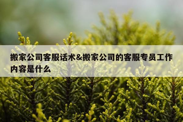 搬家公司客服话术&搬家公司的客服专员工作内容是什么