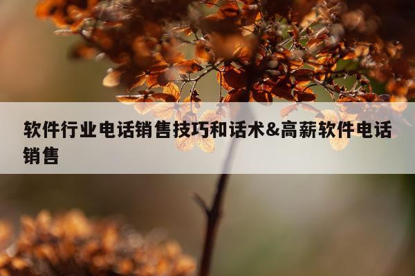 软件行业电话销售技巧和话术&高薪软件电话销售