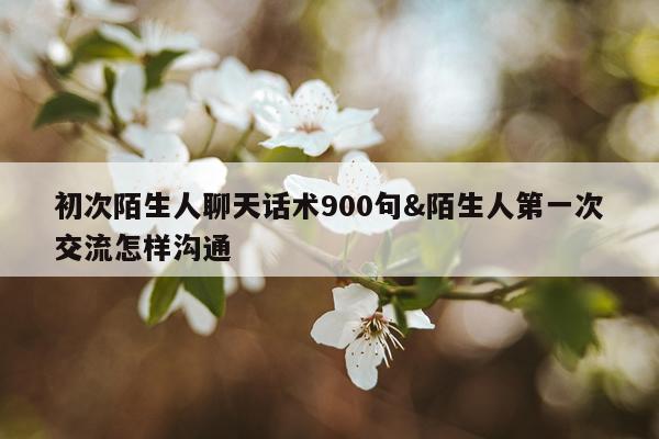 初次陌生人聊天话术900句&陌生人第一次交流怎样沟通