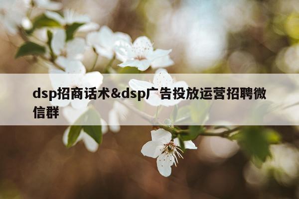 dsp招商话术&dsp广告投放运营招聘微信群