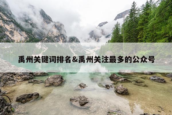 禹州关键词排名&禹州关注最多的公众号
