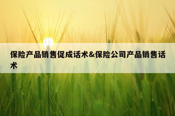 保险产品销售促成话术&保险公司产品销售话术