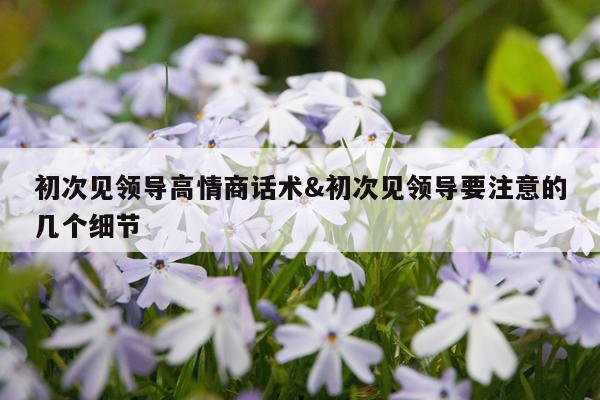 初次见领导高情商话术&初次见领导要注意的几个细节