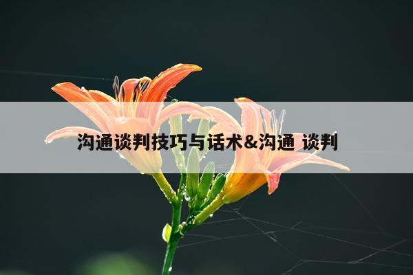 沟通谈判技巧与话术&沟通 谈判