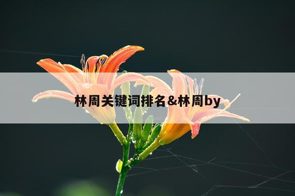 林周关键词排名&林周by