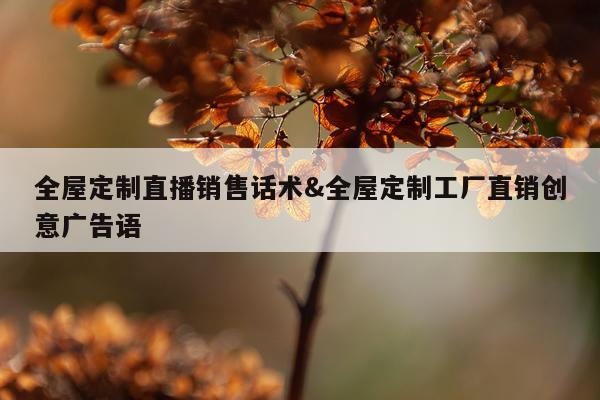 全屋定制直播销售话术&全屋定制工厂直销创意广告语