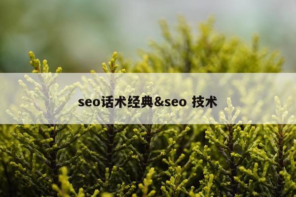 seo话术经典&seo 技术
