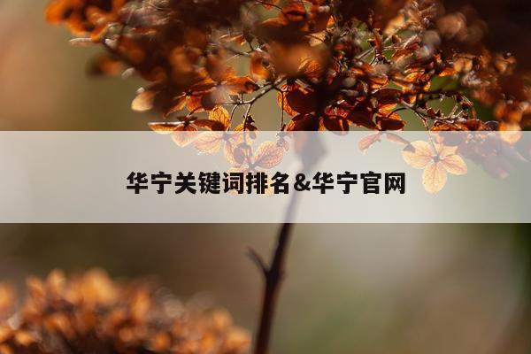 华宁关键词排名&华宁官网