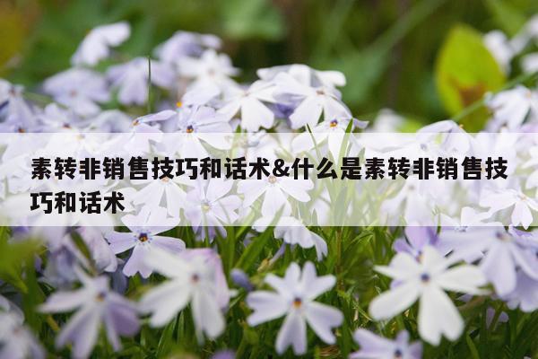 素转非销售技巧和话术&什么是素转非销售技巧和话术