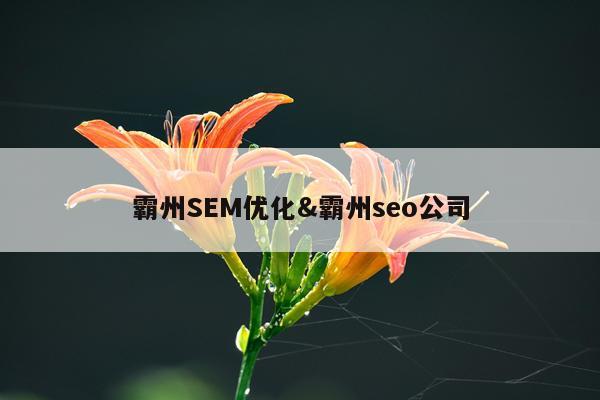 霸州SEM优化&霸州seo公司