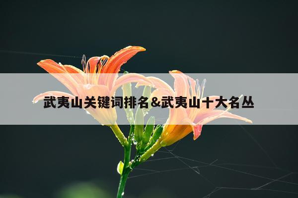 武夷山关键词排名&武夷山十大名丛