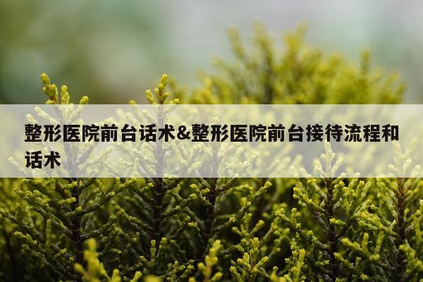 整形医院前台话术&整形医院前台接待流程和话术